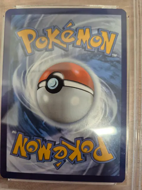 Back of Noctowl
