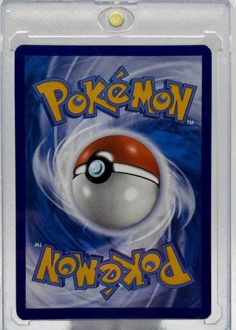 Back of Charizard ex