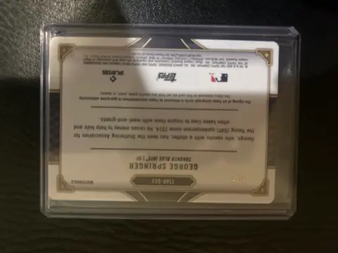 Back of George Springer