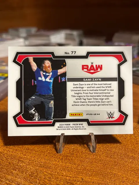 Back of Sami Zayn