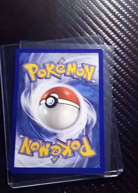 Back of Squirtle