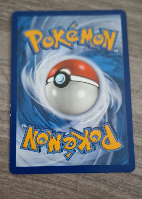 Back of Professor Elm's Lecture