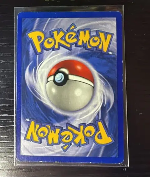 Back of Blastoise