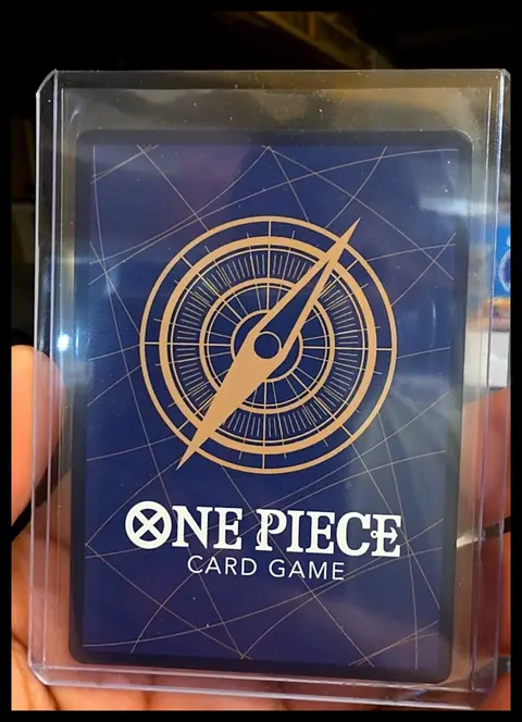Back of Roronoa Zoro