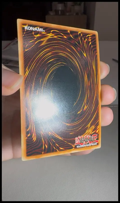 Back of Black Rose Dragon