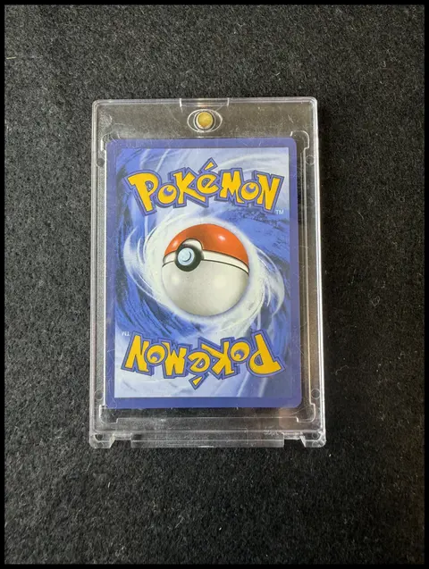 Back of Wailord EX