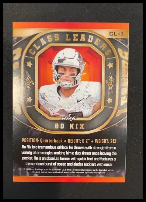 Back of Bo Nix