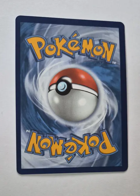 Back of Raticate