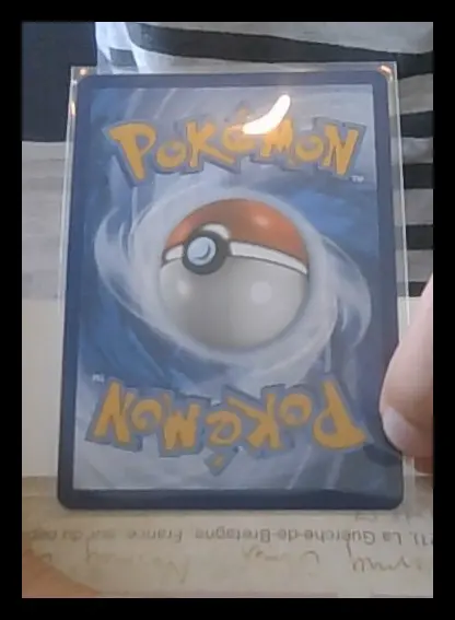 Back of Mega Lucario ex