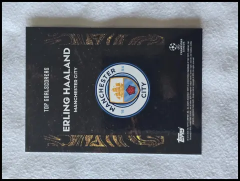 Back of Erling Haaland