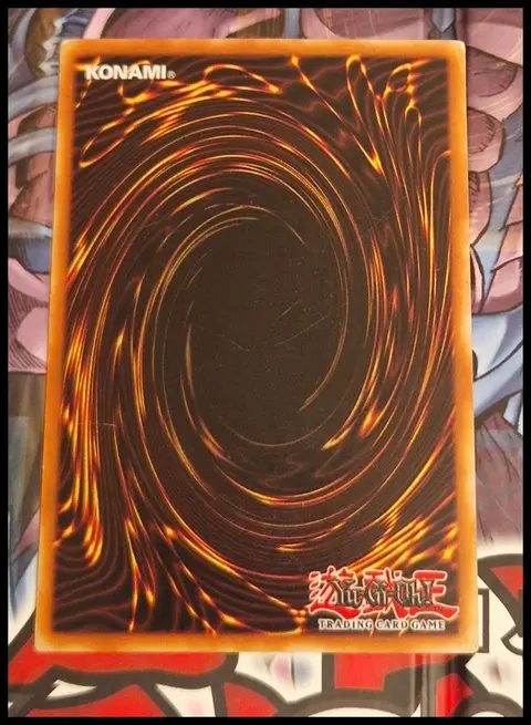 Back of Blue-Eyes White Dragon