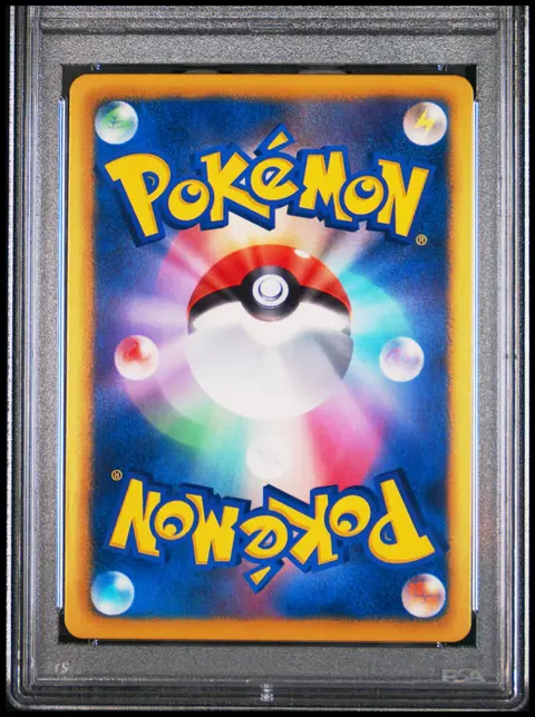 Back of Dragonite