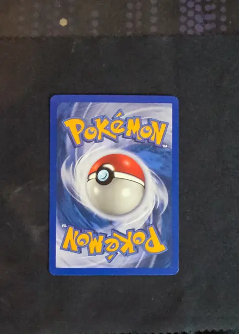 Back of Gyarados