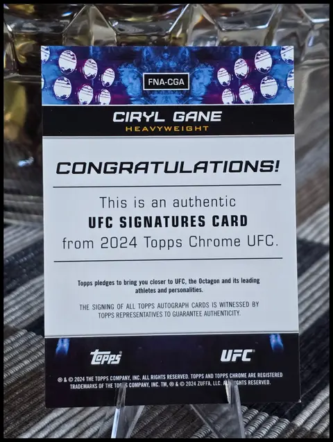 Back of Ciryl Gane